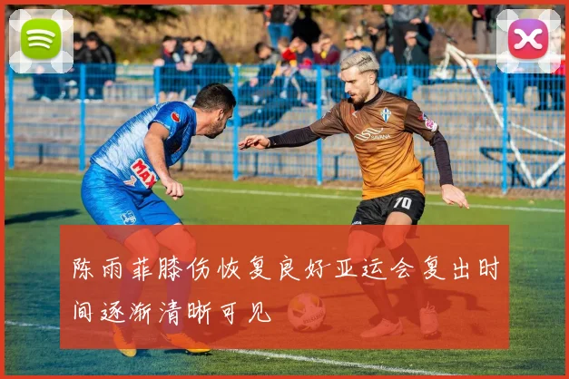 陈雨菲膝伤恢复良好亚运会复出时间逐渐清晰可见